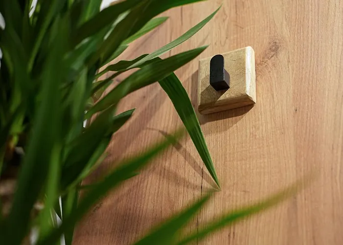 Boho Stare Apartament *